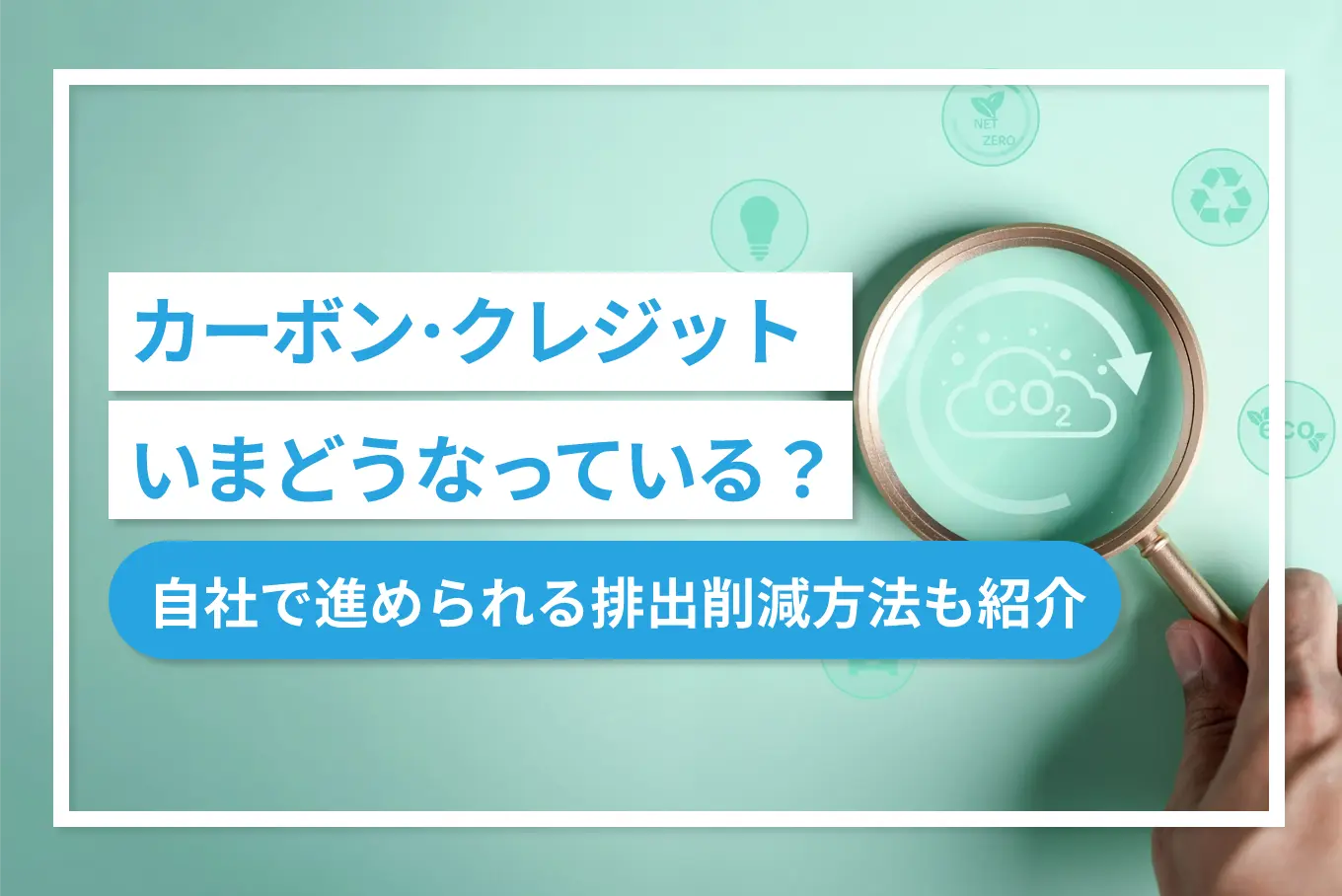 【2025年最新】カーボン・クレジット、いまどうなっている?~自社で進められる排出削減方法も紹介~
